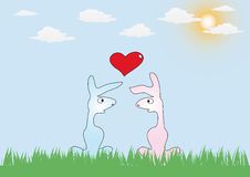 Rabbits In Love Stock Image Rabbits In Love Stock Image