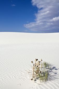 Sand Patterns In White Dunes National Monument Royalty Free Stock Image Sand Patterns In White Dunes National Monument Royalty Free Stock Image