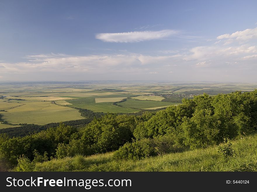 Wheat field