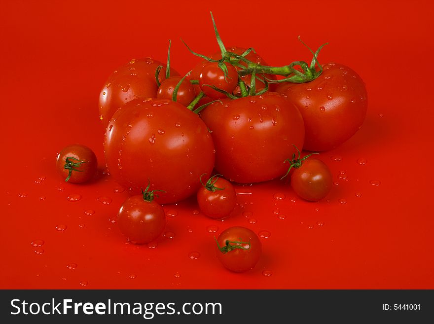 Tomatoes on red, water drops