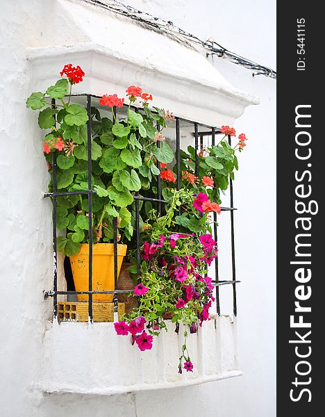 Red pot-flowers in window, Spain. Red pot-flowers in window, Spain