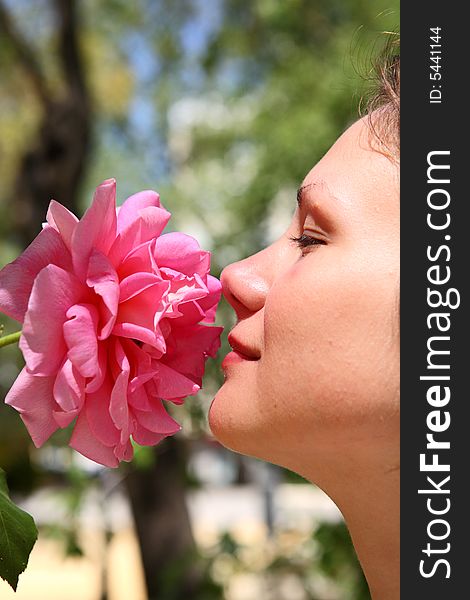 Young beautiful woman enjoys a smell of a pink rose. Young beautiful woman enjoys a smell of a pink rose