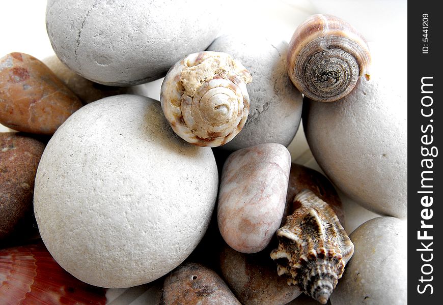 Composition of seashells and white stones. Composition of seashells and white stones