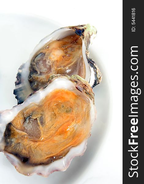 Oyster, or mussel on the plate