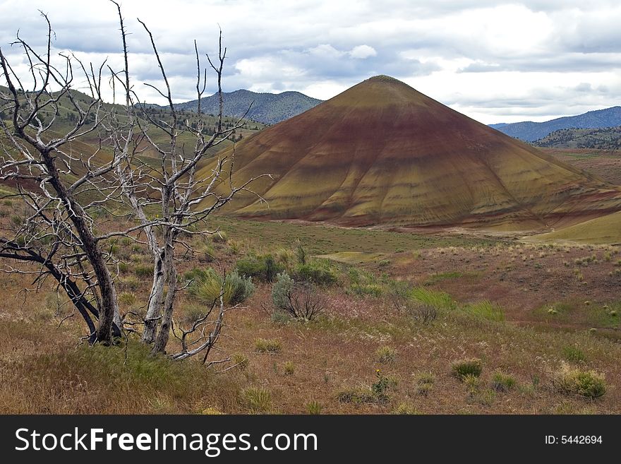 Mount Fuji's cousin in the Painted Hills of Oregon. Mount Fuji's cousin in the Painted Hills of Oregon