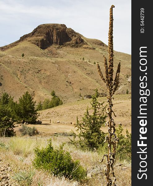 A typical high desert scene in Eastern Oregon. A typical high desert scene in Eastern Oregon