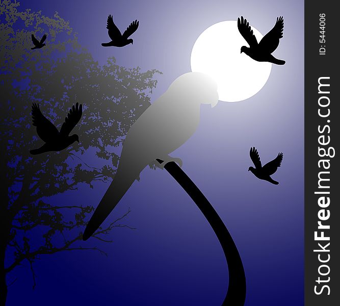 Night scene with birds, vector illustration