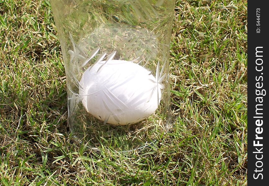 Egg On Green Grass