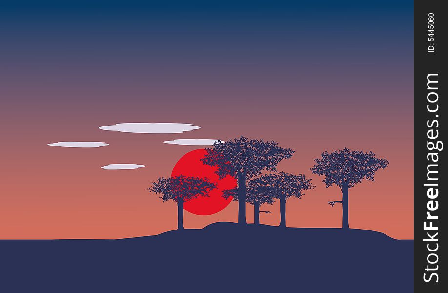 View of sunset with trees
