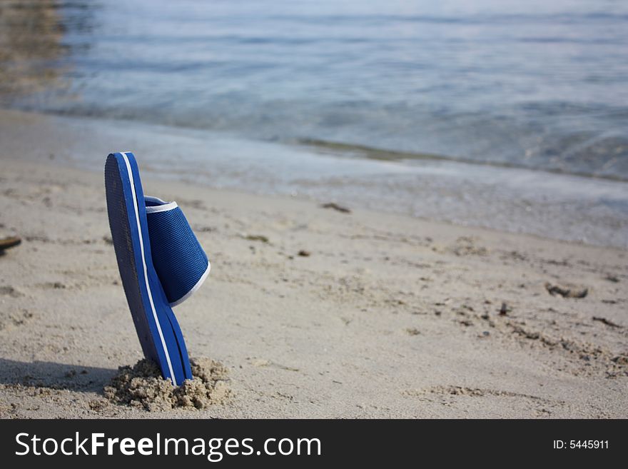 Isolate slipper on the beach