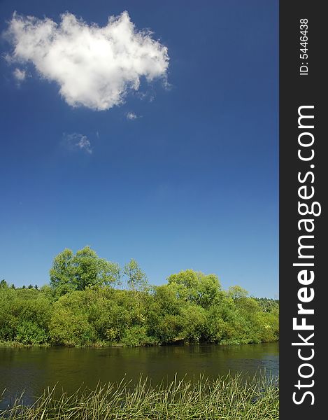 Green trees on blue sky background. Green trees on blue sky background