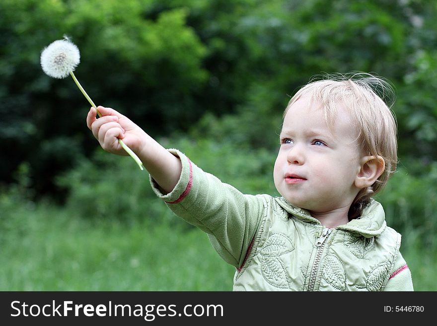 The little girl with a dandelion on a background of green trees