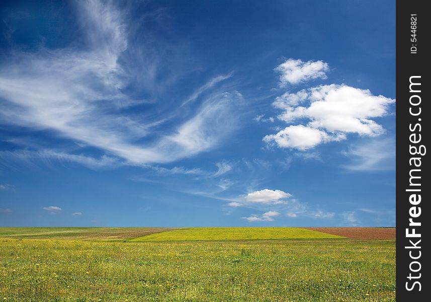 Blue sky over a green field on a summer day. Blue sky over a green field on a summer day