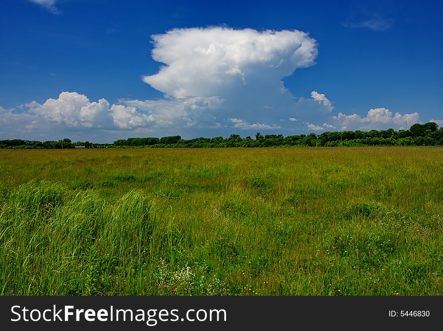 Green Grassland And Stormy Cloud