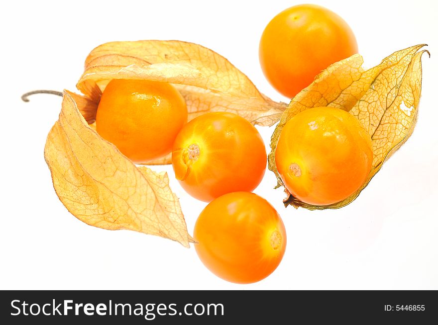Physalis on the white background, isolated