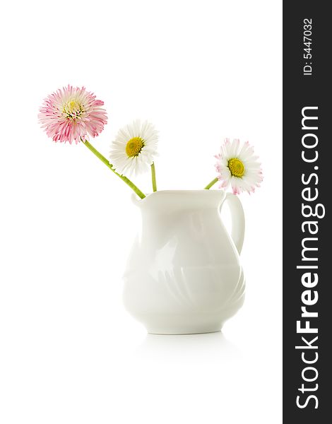 Daisies In A White Jug