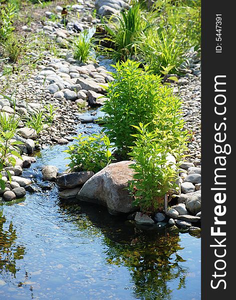 Streamlet Among Stones.