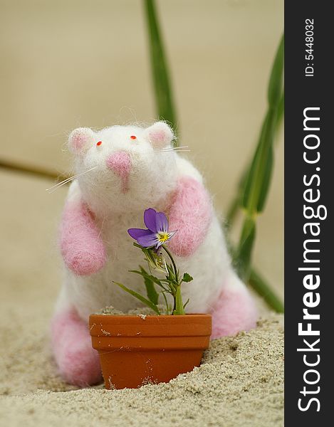 Felt mouse whit viola flower. Felt mouse whit viola flower