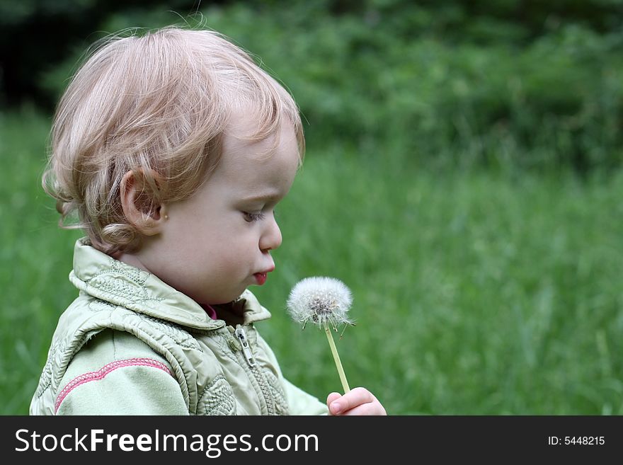 The little girl with a dandelion on a background of green trees