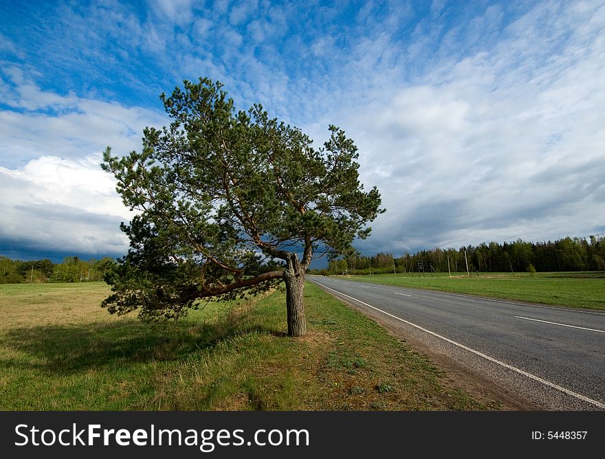 Road with a lonely tree in the countryside on a background of blue sky and white clouds. Road with a lonely tree in the countryside on a background of blue sky and white clouds.