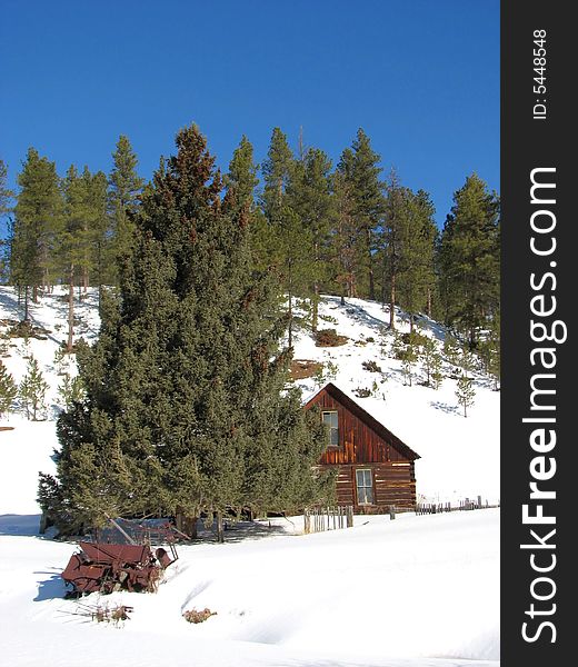 Taken In The Black Hills Of South Dakota. Taken In The Black Hills Of South Dakota