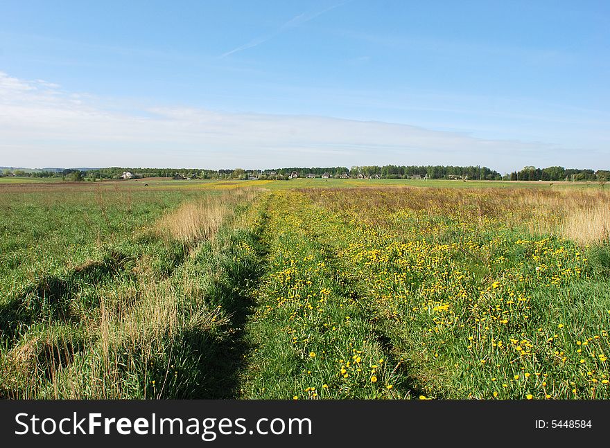 The road in the middle of the field in Lithuanian countryside. The road in the middle of the field in Lithuanian countryside.