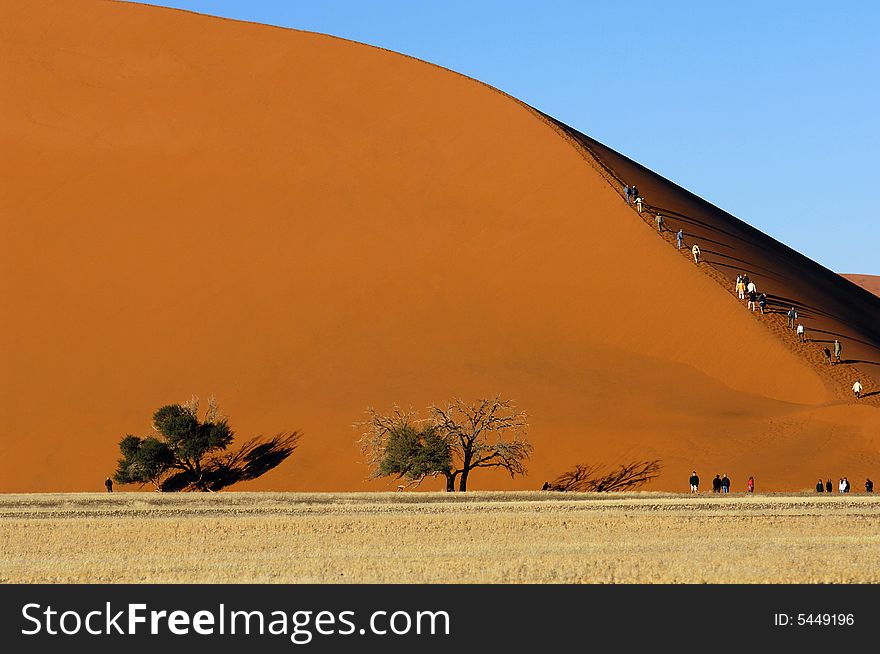 A sand dune in the desert, Namibia, Africa. A sand dune in the desert, Namibia, Africa