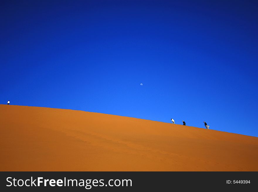 A sand dune in the desert, Namibia, Africa