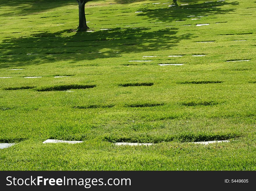 Shade From Tree In Cemetery