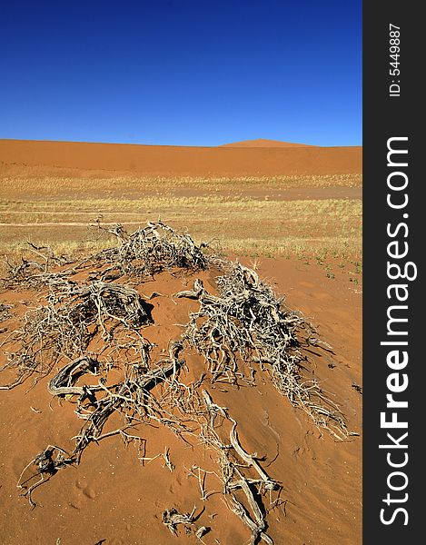 A sand dune in the desert, Namibia, Africa