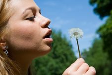 Girl And Dandelion Stock Image Girl And Dandelion Stock Image