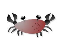 Crab Royalty Free Stock Photo Crab Royalty Free Stock Photo