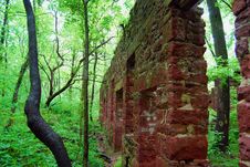 Abandoned Building In Forest Royalty Free Stock Photos
