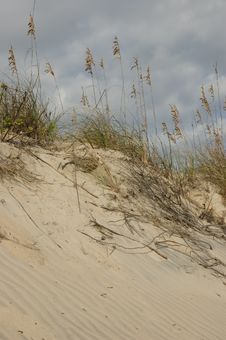 Sand Dune And Sea Oats Stock Images Sand Dune And Sea Oats Stock Images