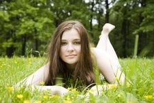 Summer Day Stock Images Summer Day Stock Images