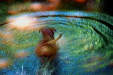Psychedelic Swim Stock Photo Psychedelic Swim Stock Photo