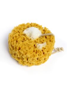 A Natural Wild Sponge With Foam Stock Image