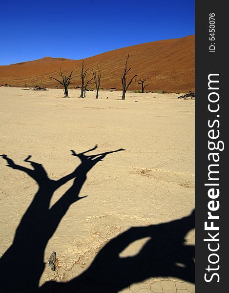 A sand dune in the desert, Namibia, Africa