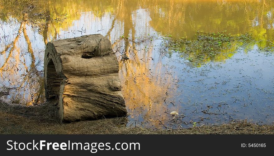 The log