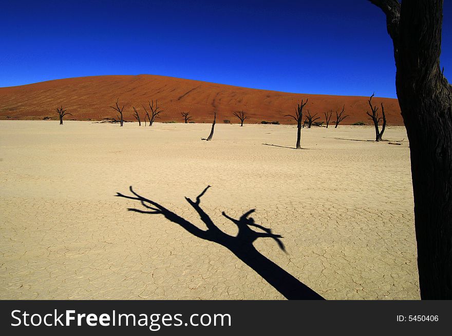A sand dune in the desert, Namibia, Africa