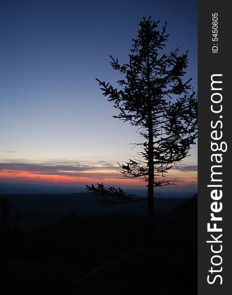 Sundown & tree in mountains, valley, landscape