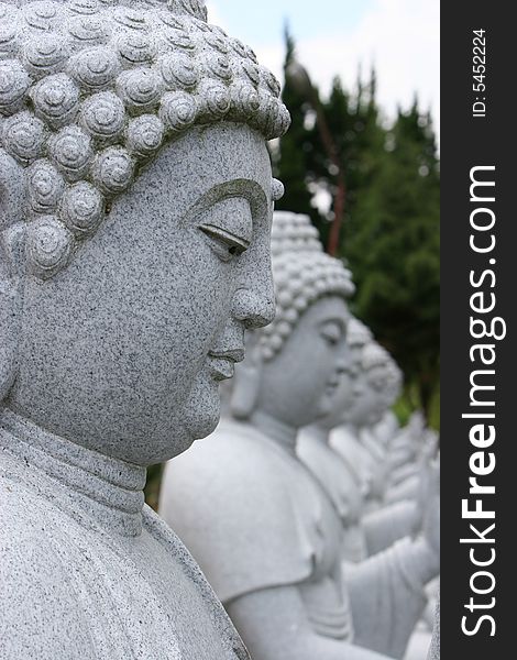 White Buddha statues, standing in a line.