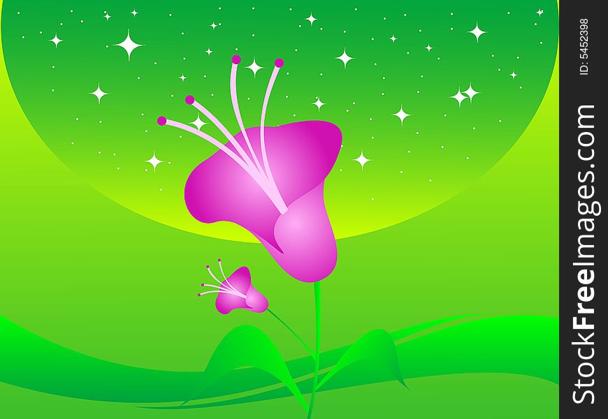 Flowers on stary and curvy background