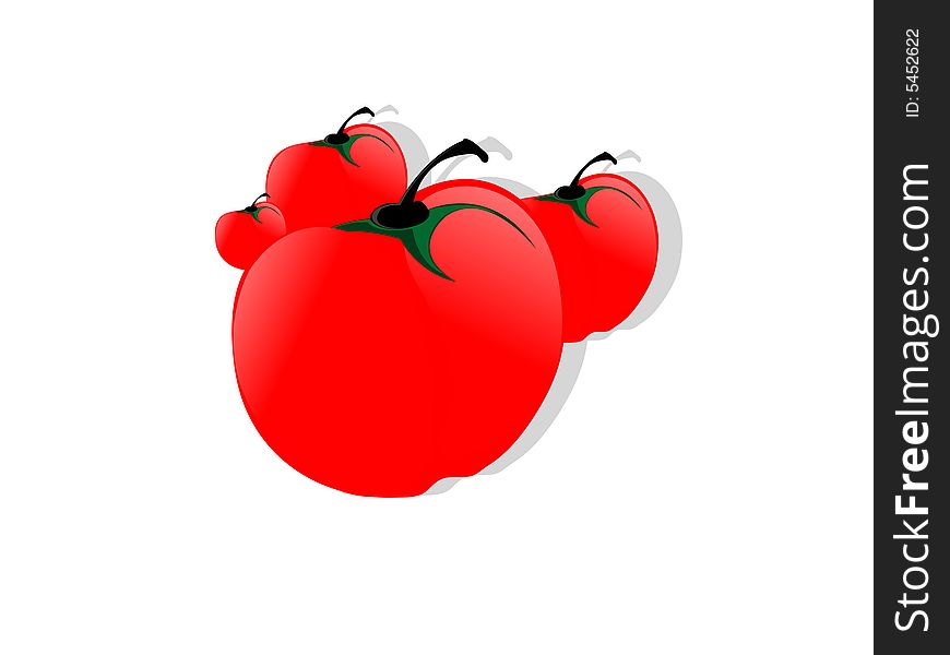 the tomato's on isolated background. the tomato's on isolated background