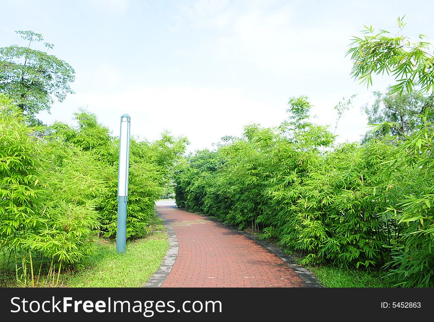 A red brick paved path curving in the bamboo grove in a park. A red brick paved path curving in the bamboo grove in a park.