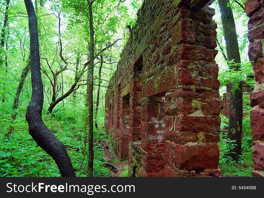 An abandoned building in a lush green forest. An abandoned building in a lush green forest.