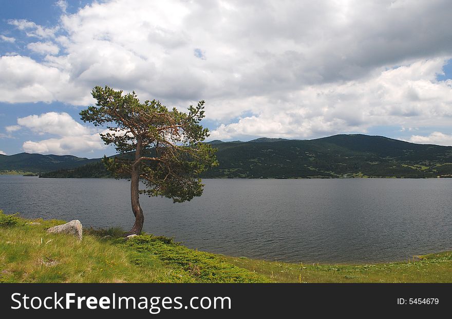 Lake with tree and blue cloudy sky, Bulgaria. Lake with tree and blue cloudy sky, Bulgaria