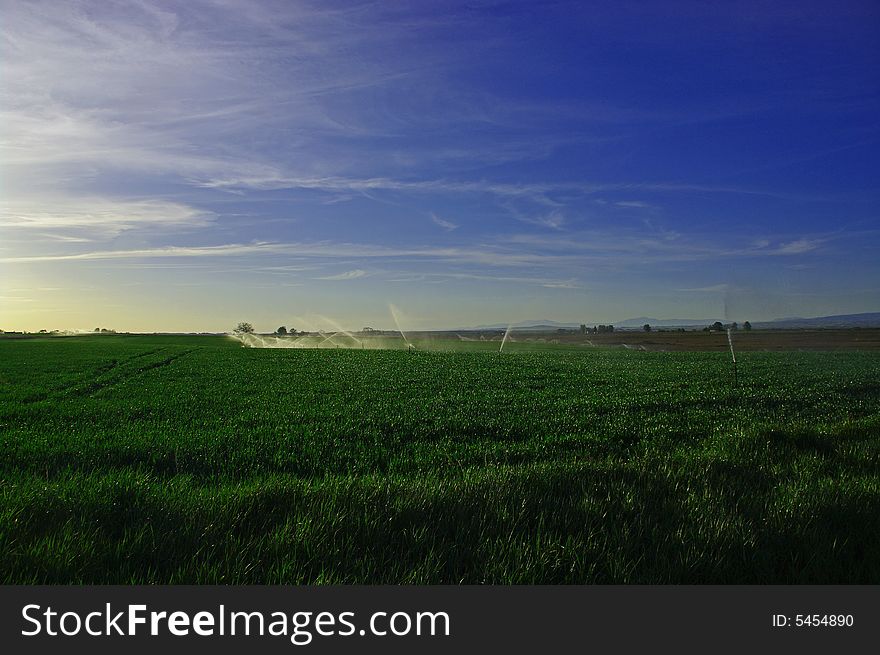 Sprinklers in the morning field Southern Idaho
