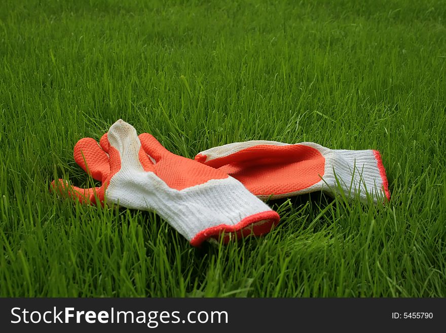 Work gloves laying in the grass