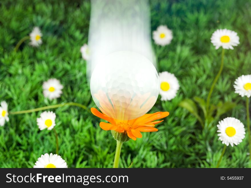 Flying golf ball over flowers and grass. Flying golf ball over flowers and grass.